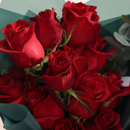 Soft Embrace Red Roses Bouquet