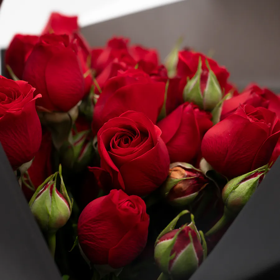 10 Red Baby Roses | Black Wrap | Bouquet 2
