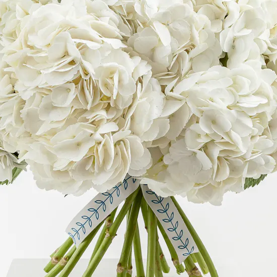 Glamorous Hydrangea