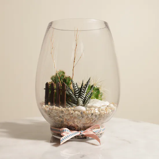 Charming Little Desert | Open Terrarium