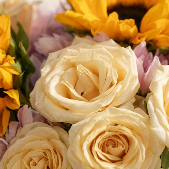 مزهريه روعة دوار الشمس
