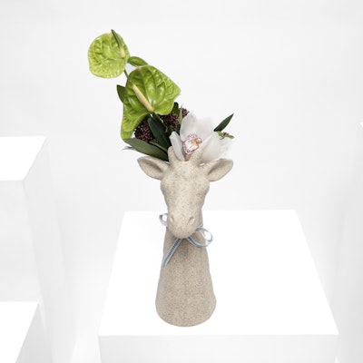 3 Green Anthurium | Vase