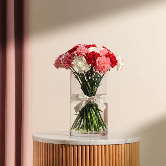 Colorful Carnation Vase