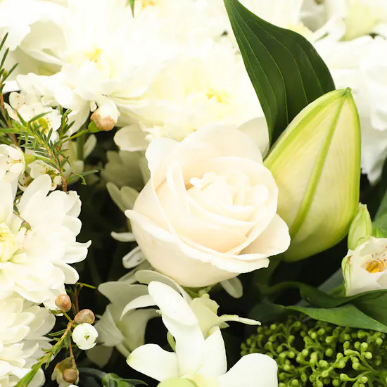White Flowers Set