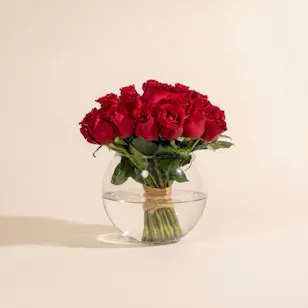 Red Roses Vase Red Roses Vase
