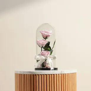 Preserved Pink Roses Dome