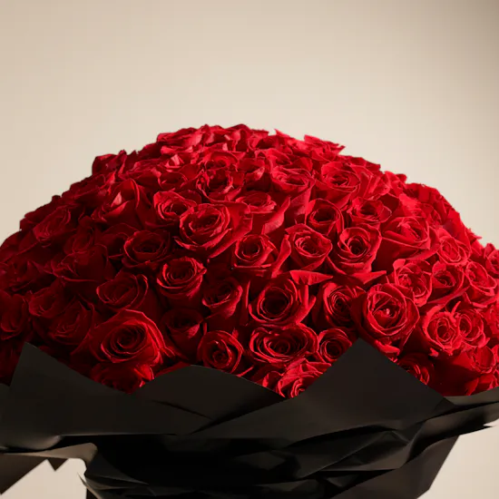 Red Roses Bouquet | 250 Flowers