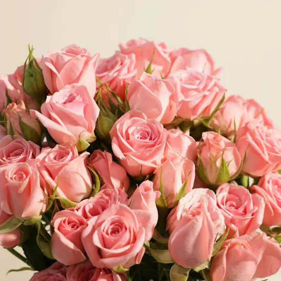 Pure Blush Flower Vase