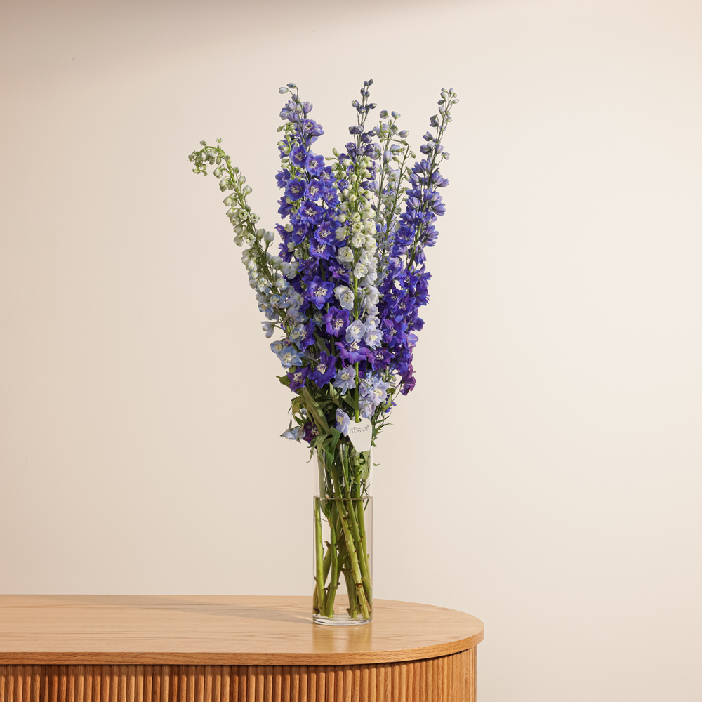 Delphinium Blue Mix Vase