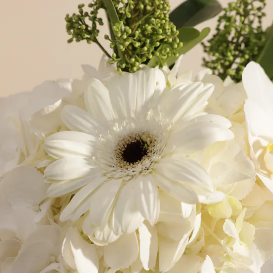 Floward Exclusive Chocolates Box | Voyage Flowers Bouquet