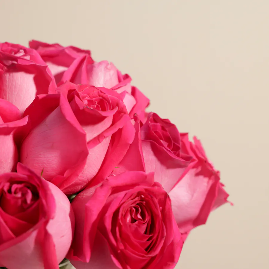 Fuchsia Splendor Vase | 25 Roses 2