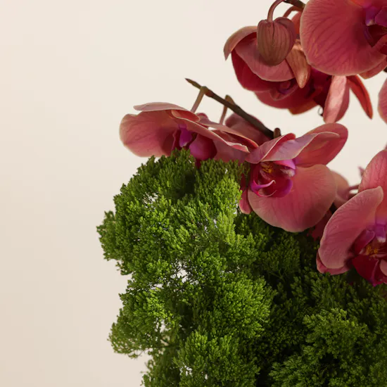 Sunset Serenity Flower Vase
