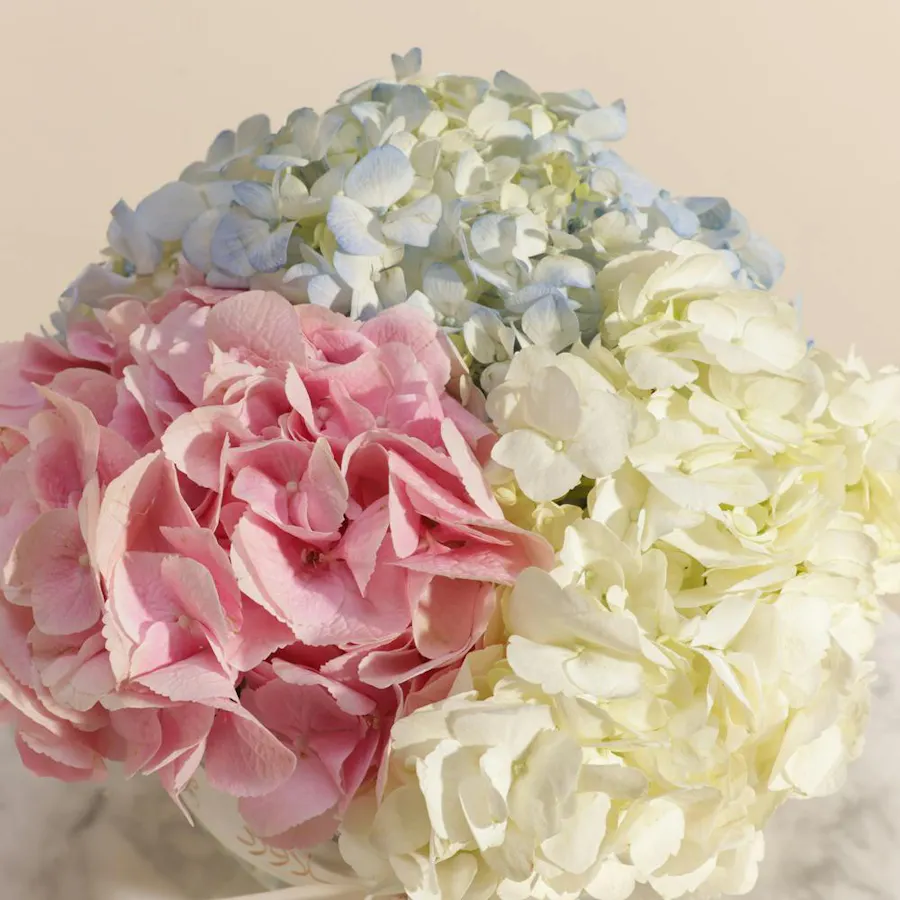 Floral Affection Hydrangea Vase 3