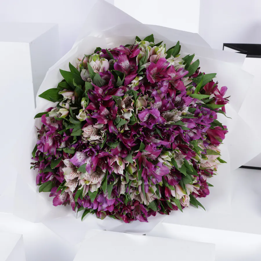 Nava Gold Necklace | Purple Flowers  4