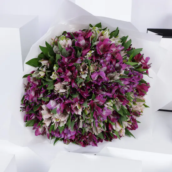 Nava Gold Necklace | Purple Flowers