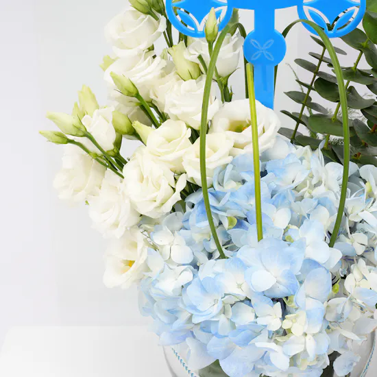 Levo Chocolate Box | Baby Boy Blooms