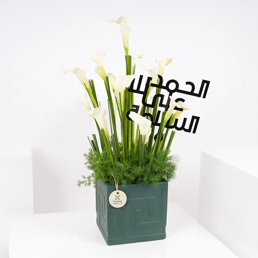 White Calla Vase | Get Well Soon 6