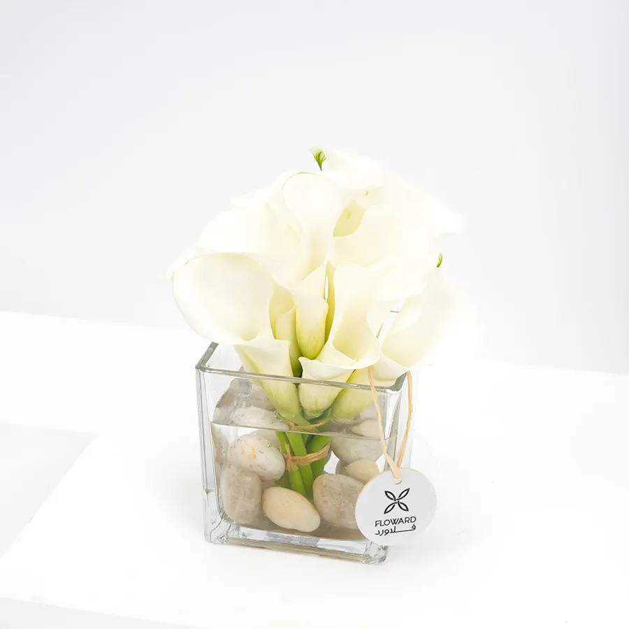The Purity Vase 5