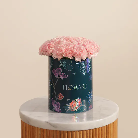 Gentle Pink Carnation Box | 35 Flowers