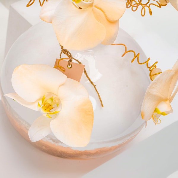 Elegant Peachy Orchid Vase Floward Abu Dhabi