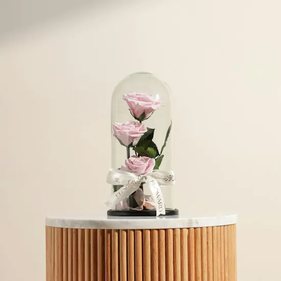 Preserved Pink Roses Dome
