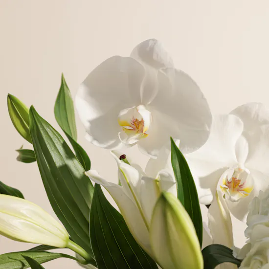 White Grace Flower Vase