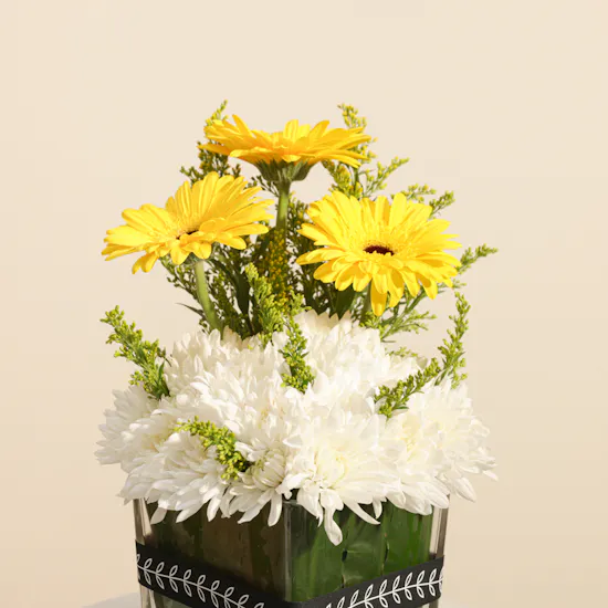 Abucci Classic Chocolate Box | Devotion Flowers Vase