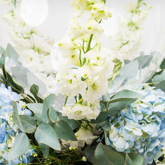 Floral Cloud | Congrats Balloon