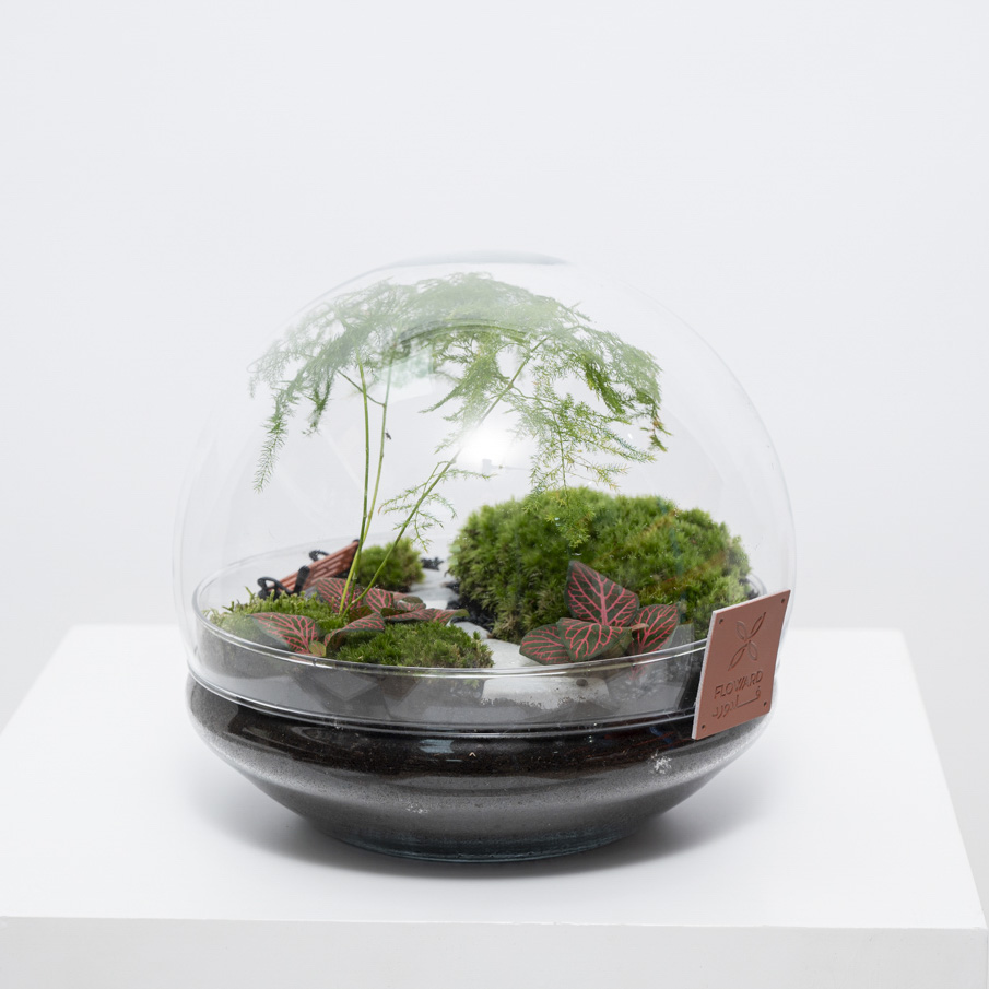 الحديقة الخضراء المنعشة | تيراريوم مغلق