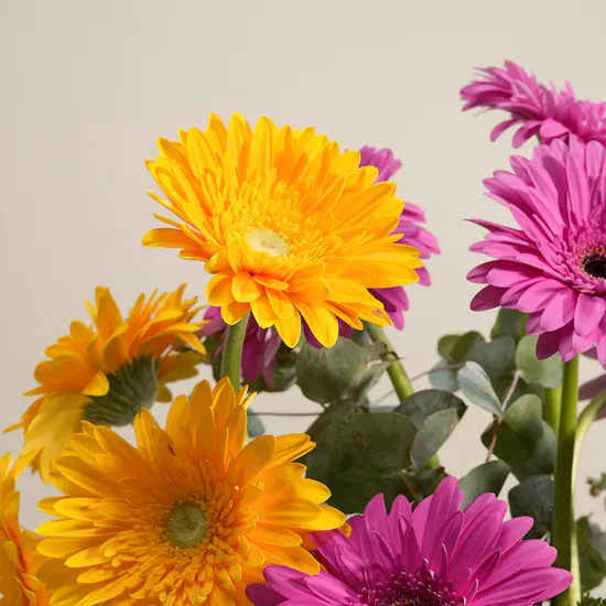 Gerbera Delight Flower Vase