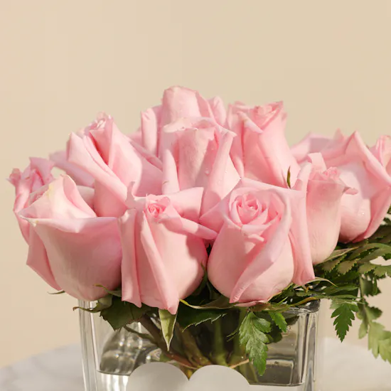 Light Pink Roses I love You Vase