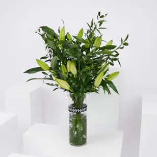 Elegant White Lilies Vase