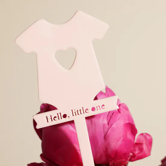 Welcome Little Princess Flower Vase