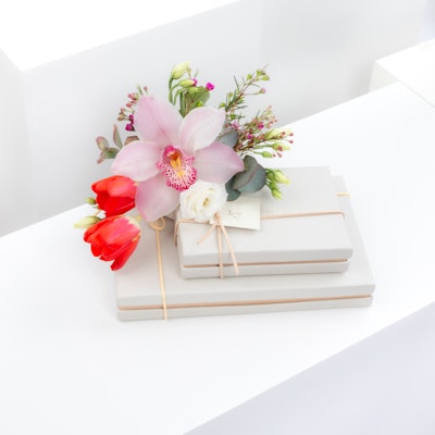 Special Box