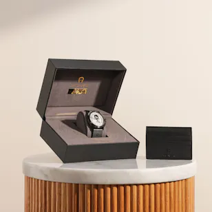 Aigner Cavallo Limited Edition Men's Watch