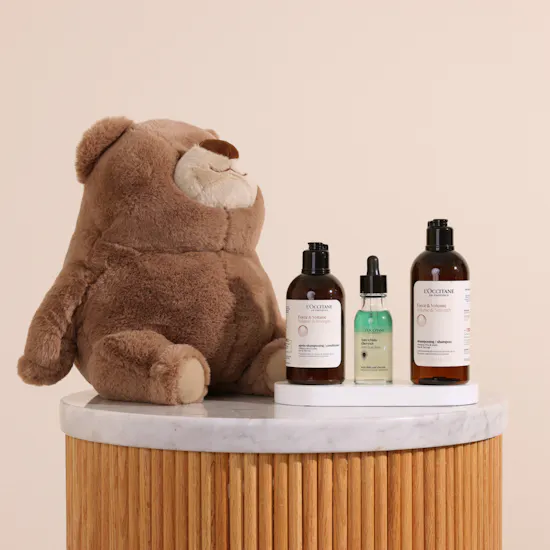 L'Occitane Volume and Strength Hair Care Trio | Floward Small Cuddly Brown Plush Bear Toy