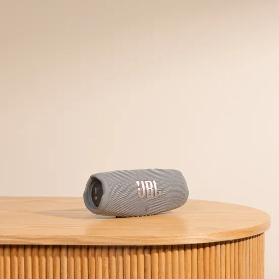 JBL Charge 5 Grey Portable Speaker