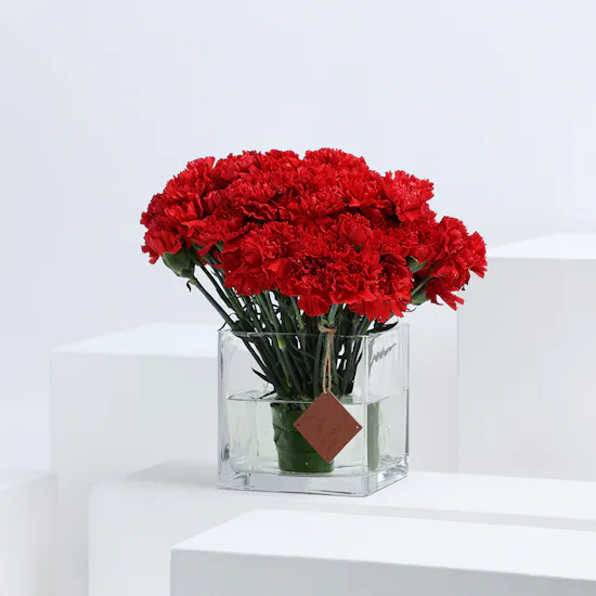 50 Red Carnations | Square Vase