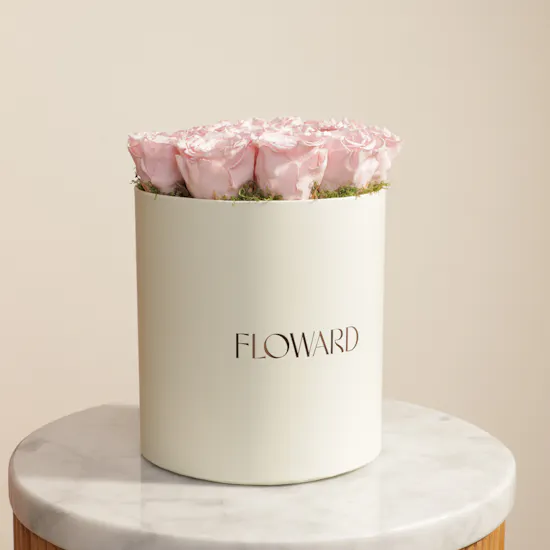 Soft Pink Medium preserved Roses Box