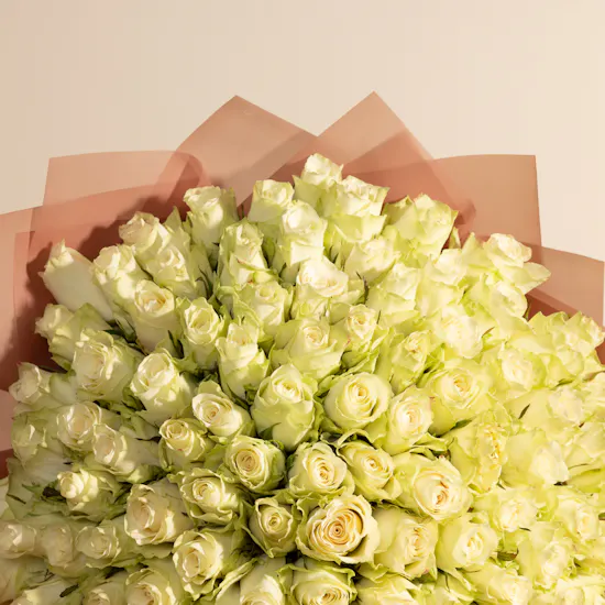 Stunning White Roses Bouquet | 150 Flowers