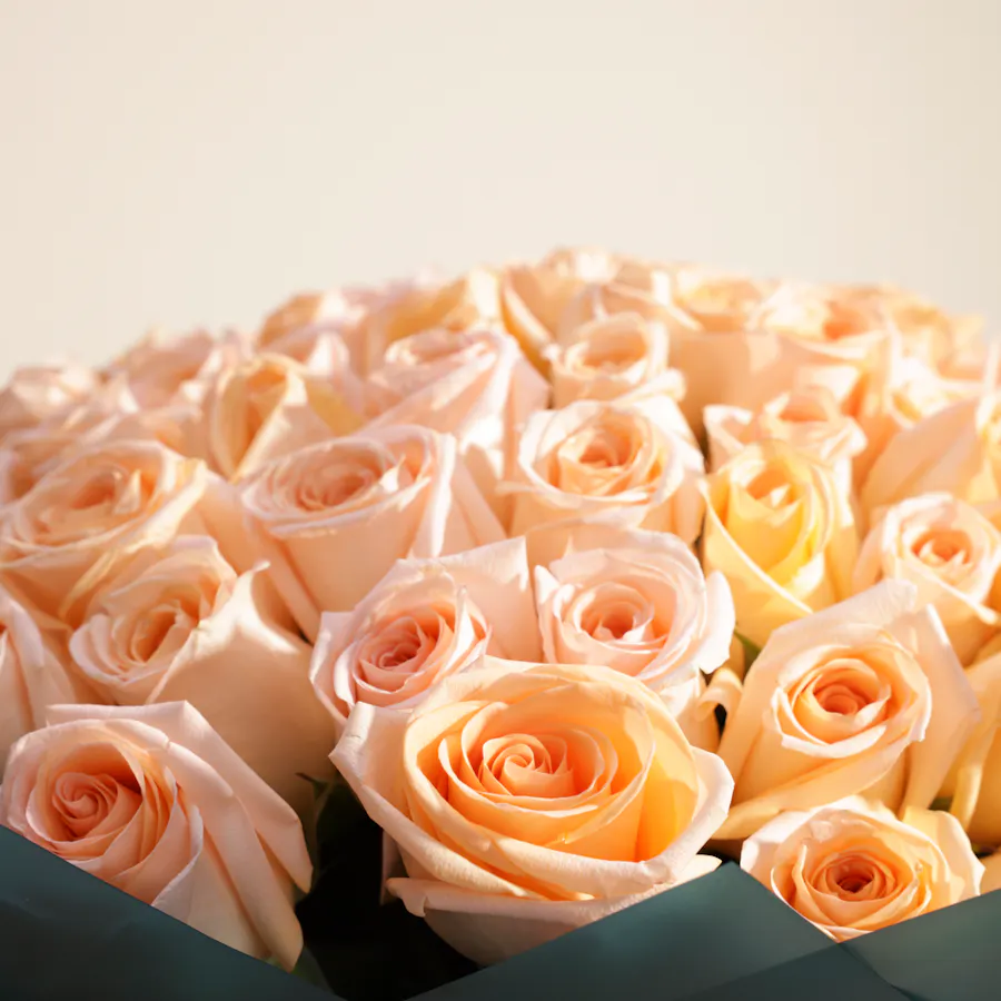 Enchanting Peach | 100 Rose Bouquet 3