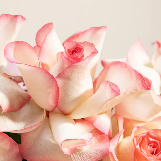 Dreamy Esperance Rose Bouquet | 10 Flowers