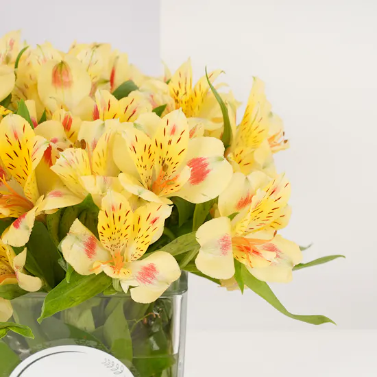 Bostani Black Leathered Small Box | Alstroemeria