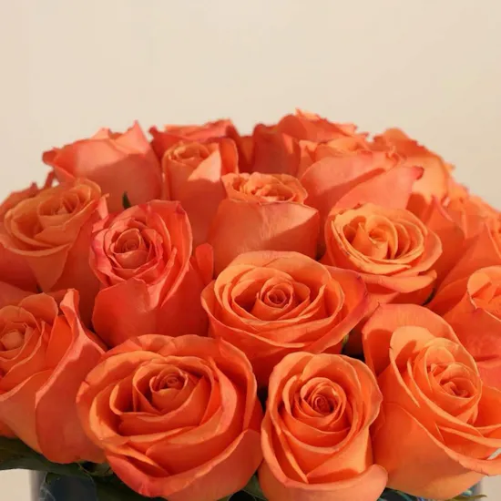 Pearly Orange Rose Box | 25 Flowers
