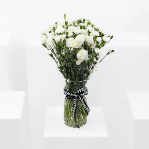 Iceberg | Cylinder Vase 