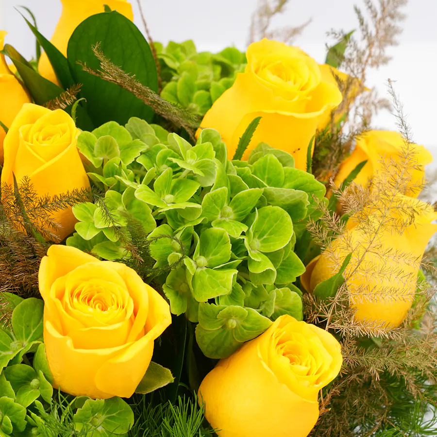 Yasania Onyx | Yellow Roses 4