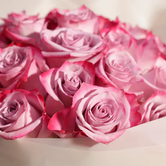 Purple Roses Bouquet | 35 Flowers
