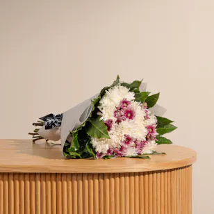 Chrysanthemums | White Wrap Chrysanthemums | White Wrap