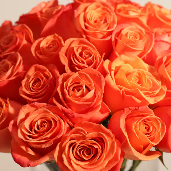Orange Roses Vase | 50 Flowers