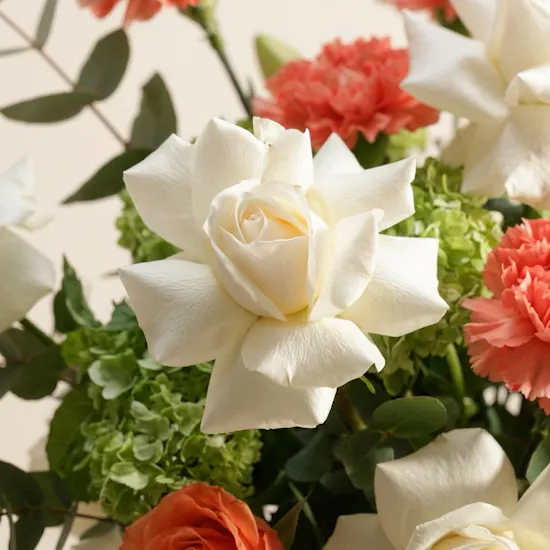 Sunlit Garden Flower Vase